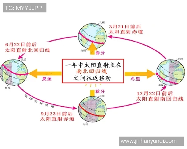 全面解析体育运动项目题库助力提升运动知识与技能的学习与应用