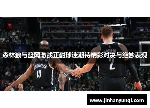 森林狼与篮网激战正酣球迷期待精彩对决与绝妙表现